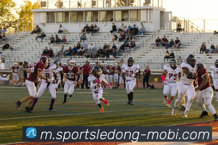 乐动体育发展历程